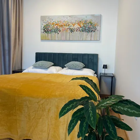 H52 Apartment Brno